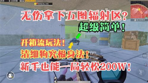 五图辐射区最新爆料,神秘地带的惊人真相与未知挑战”